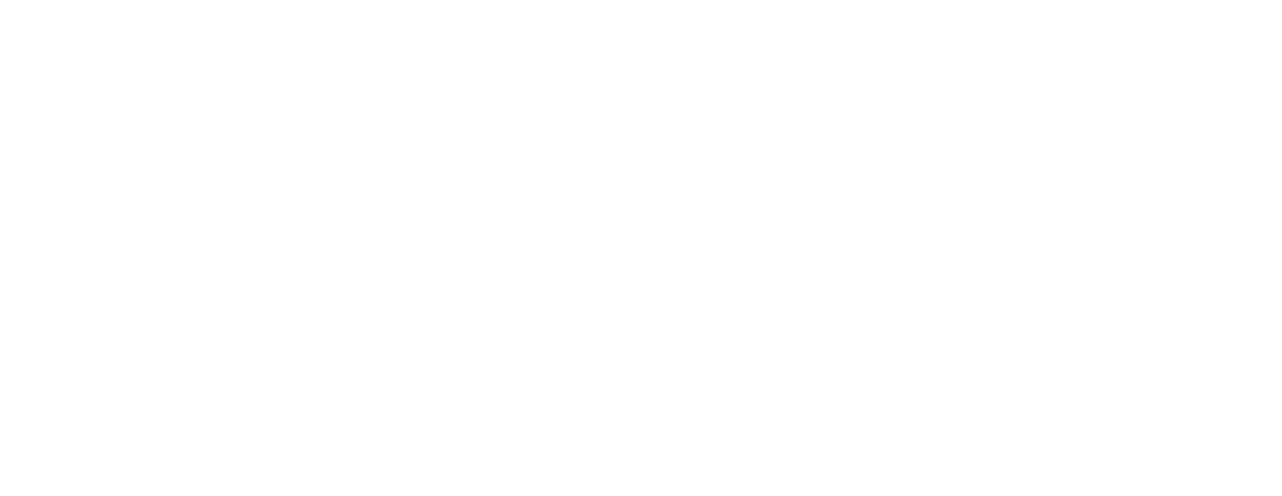 Layana ERP Logo